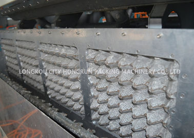 Waste Paper Pulp Molding Equipment / Egg Or Fruit Tray Carton Making Machine