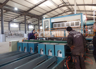 Full Automatic Egg Tray Making Machine Large Capacity High Efficiency