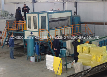 Recycle Paper Pulp Mill Egg Box Machine Large Capacity 6000PCS/H