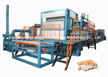 Full - Automatic Egg Tray Machine Diesel Oil Fuel Type / Pulp Molding Equipment