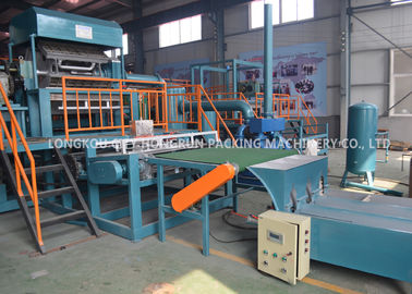 High Productive Paper Pulp Egg Carton Machine With 1 Year Warranty