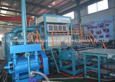 Automatic Paper Pulp Egg Carton Machine / Egg Tray Production Line