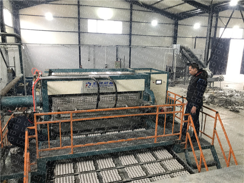 Molded Pulp Egg Tray Machine Big Capacity Fully Automatic Rotary Type