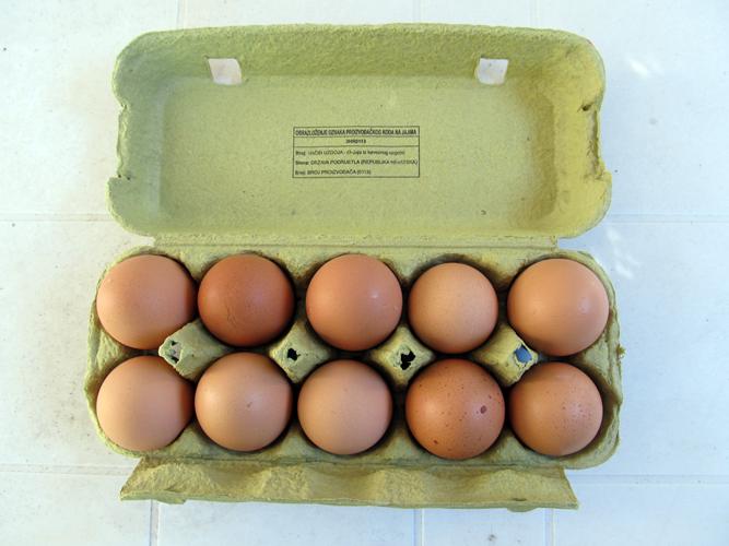 220V Automatic Egg Tray Machine With Multi - Layer Dryer Capacity ...