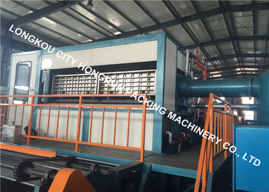 Wast Paper Pulp Molding Machine For Egg Box / Egg Tray / Apply Tray