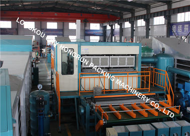 Wast Paper Pulp Molding Machine For Egg Box / Egg Tray / Apply Tray