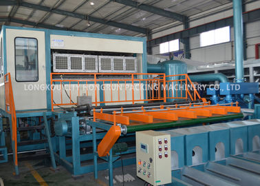 High Output Rotary Pulp Egg Tray Making Machine / Egg Box Moulding Machine