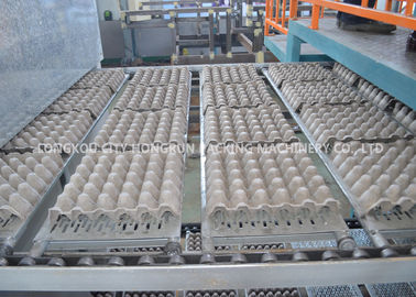 Automatic Electronic Products Paper Pulp Egg Tray Machine With Drying Line