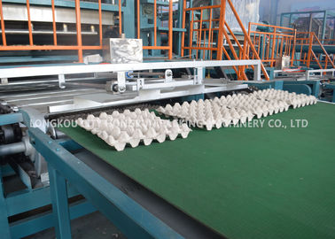 Customized Color Pulp Egg Tray Equipment Recycled Paper Processing Machine