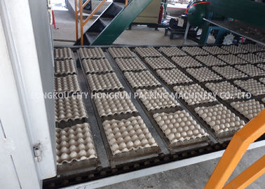 High Efficiency 5000 Pieces Pulp Tray Machine For Egg Cartons 104KW