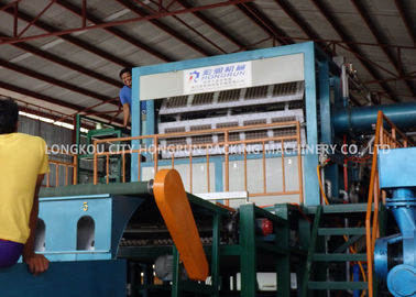 Gas Fuel Type Automatic Egg Tray Machine  Paper Pulp Recycling Production Line