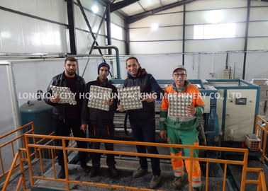 200KW 380V Paper Egg Tray Machine With Automatic Stacking  , Collection And Manual Packing System