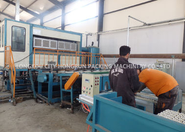 Rotary Pulp Molding Machine For Making Egg Box / Fruit Tray 380V 50HZ