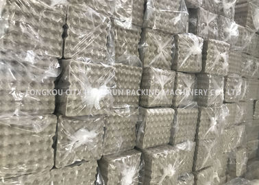 Pulp Molding Machine 6000pcs/h , Large Capacity Egg Tray Making Machine