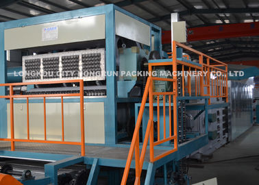 Lunch Boxes / Egg Tray Machine , Egg Carton Box Making Machine