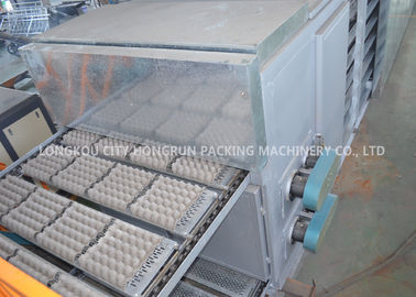 Full - Automatic Egg Tray Machine Diesel Oil Fuel Type / Pulp Molding Equipment