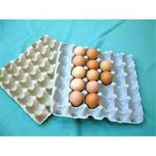 Pulp Molding Paper Egg Tray Machinery , CE Paper Egg Tray Machine