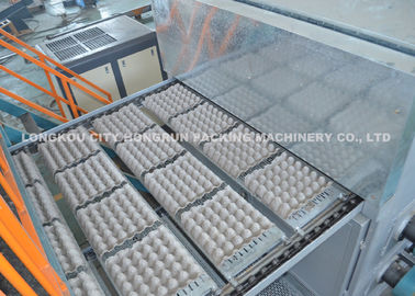 4000pcs/hr Pulp Moulding Egg Tray Machine , Egg Tray Forming Machine